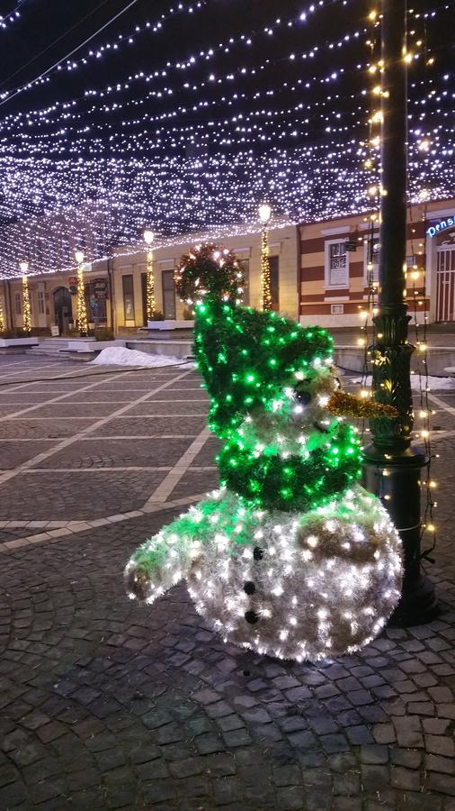 Appartamento Casa Bergwald Rîşnov Esterno foto