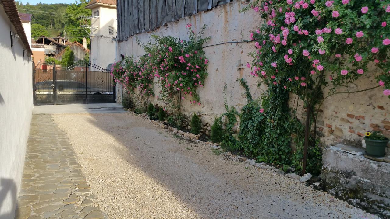 Appartamento Casa Bergwald Rîşnov Esterno foto