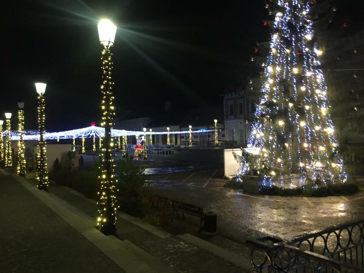Appartamento Casa Bergwald Rîşnov Esterno foto