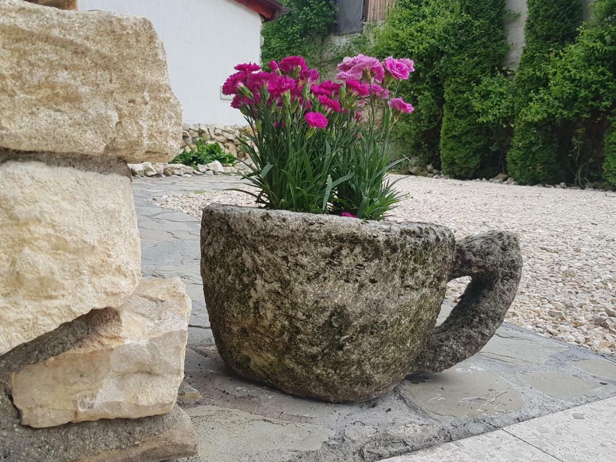 Appartamento Casa Bergwald Rîşnov Esterno foto